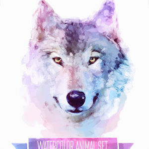 Meet your Posher, Daniela